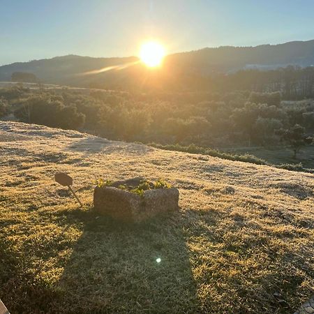 Quinta Dos Cedros L Turismo Rural Covilhã Dış mekan fotoğraf