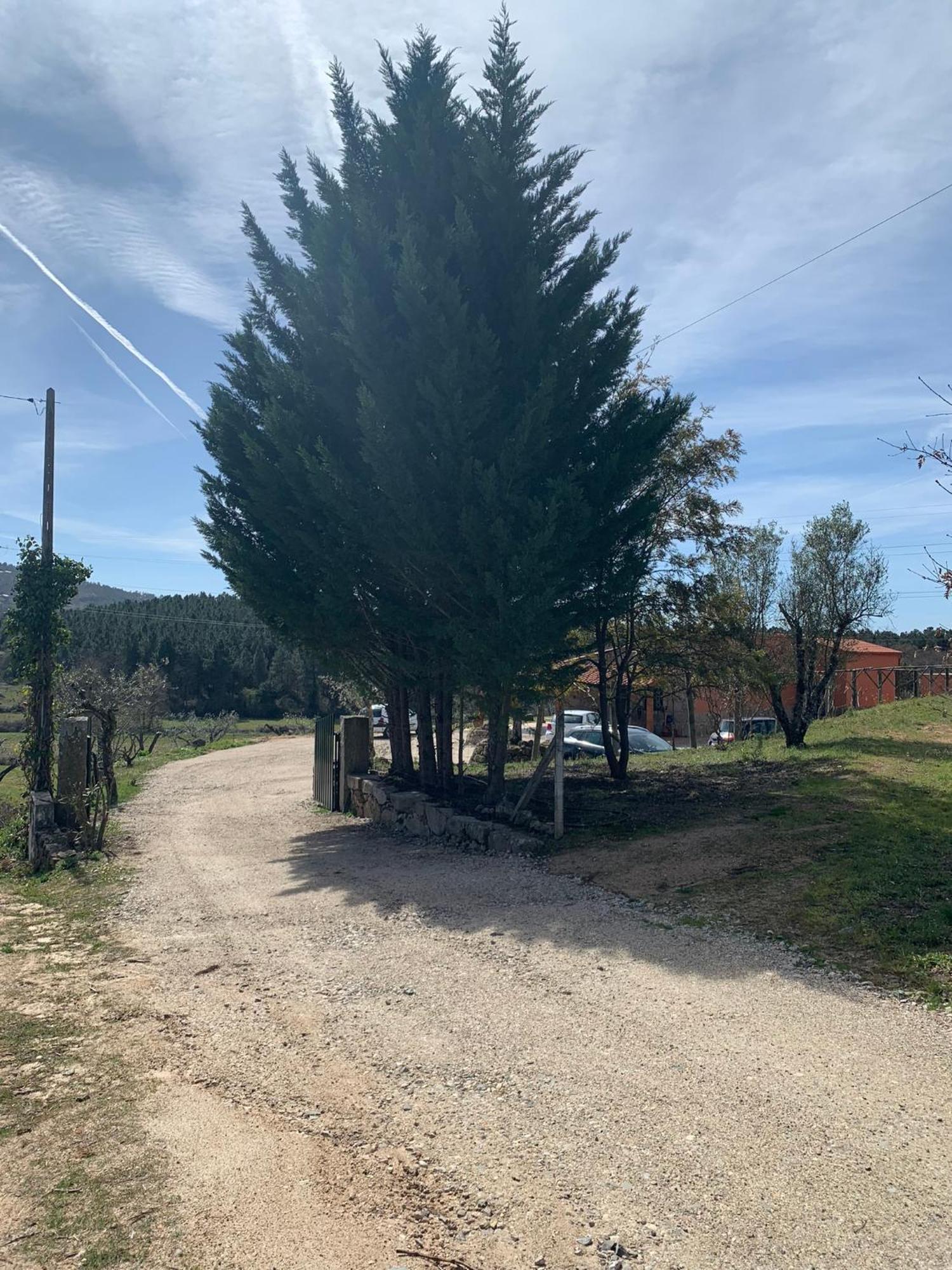 Quinta Dos Cedros L Turismo Rural Covilhã Dış mekan fotoğraf