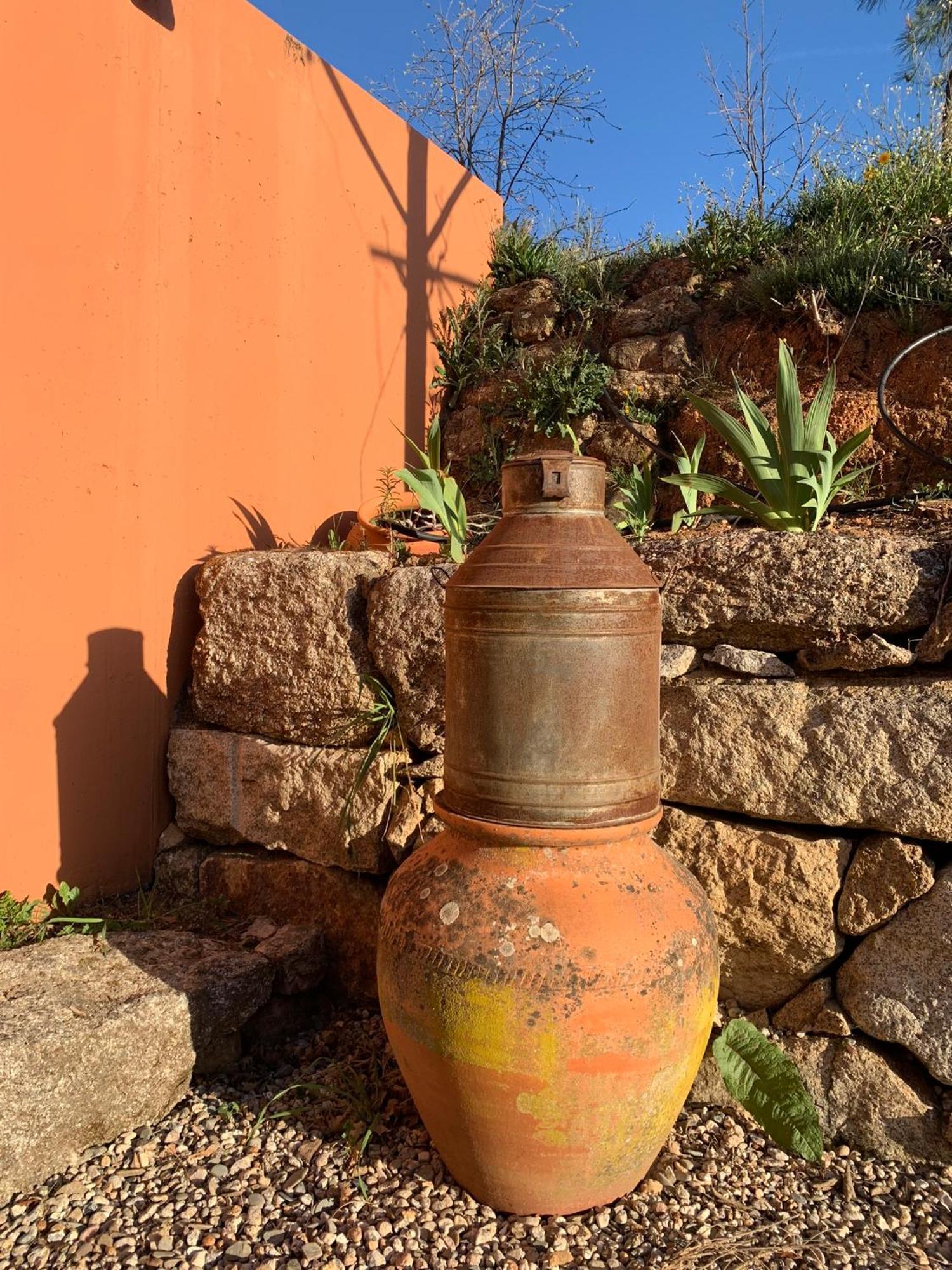 Quinta Dos Cedros L Turismo Rural Covilhã Dış mekan fotoğraf