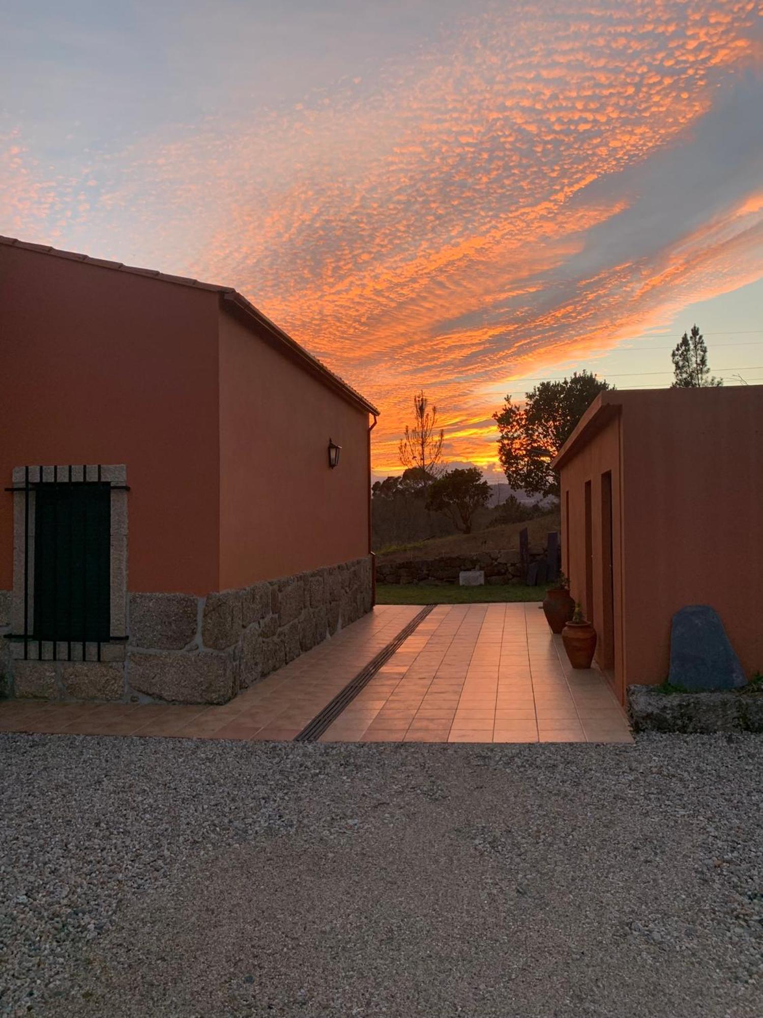 Quinta Dos Cedros L Turismo Rural Covilhã Dış mekan fotoğraf