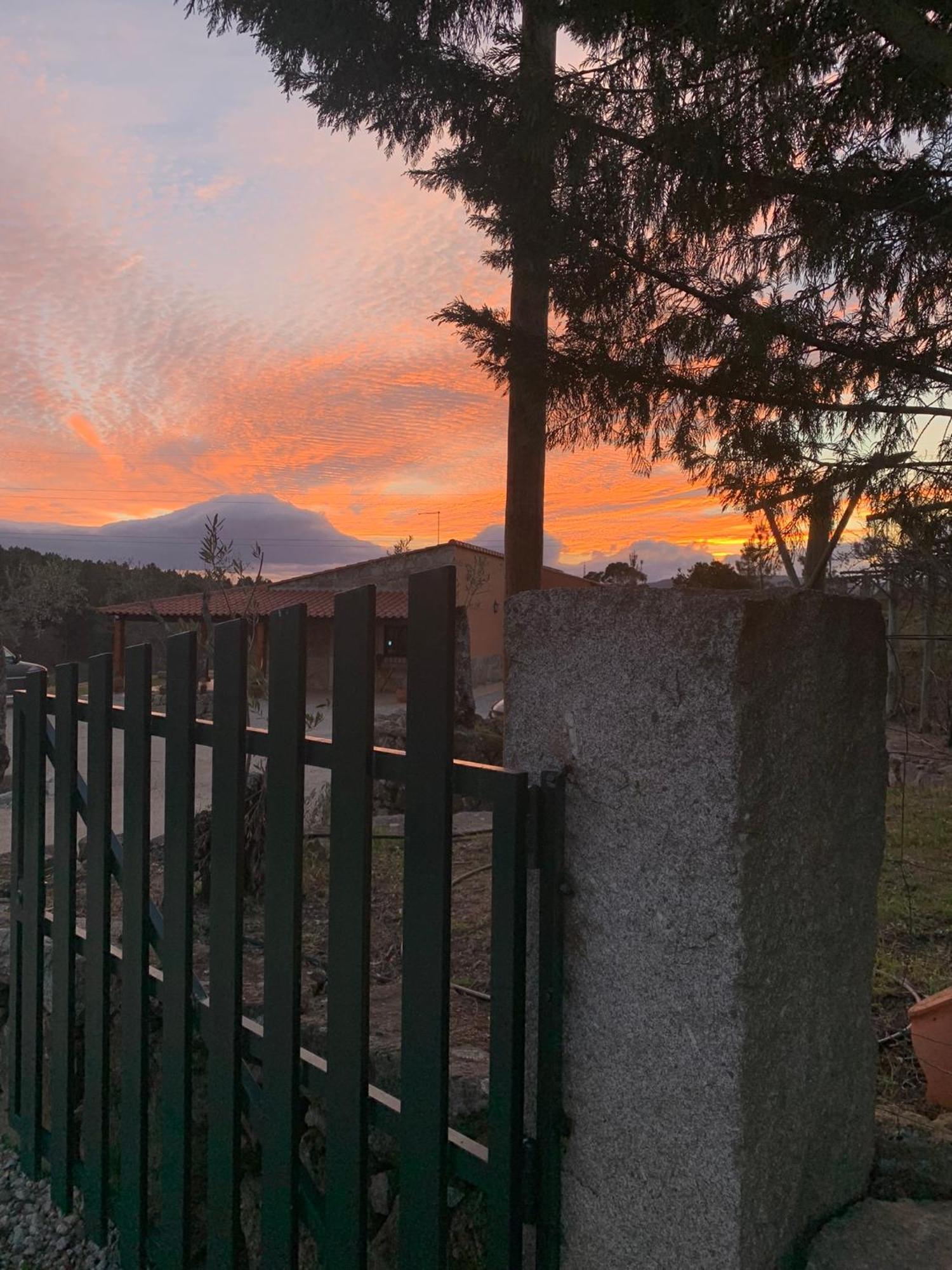 Quinta Dos Cedros L Turismo Rural Covilhã Dış mekan fotoğraf