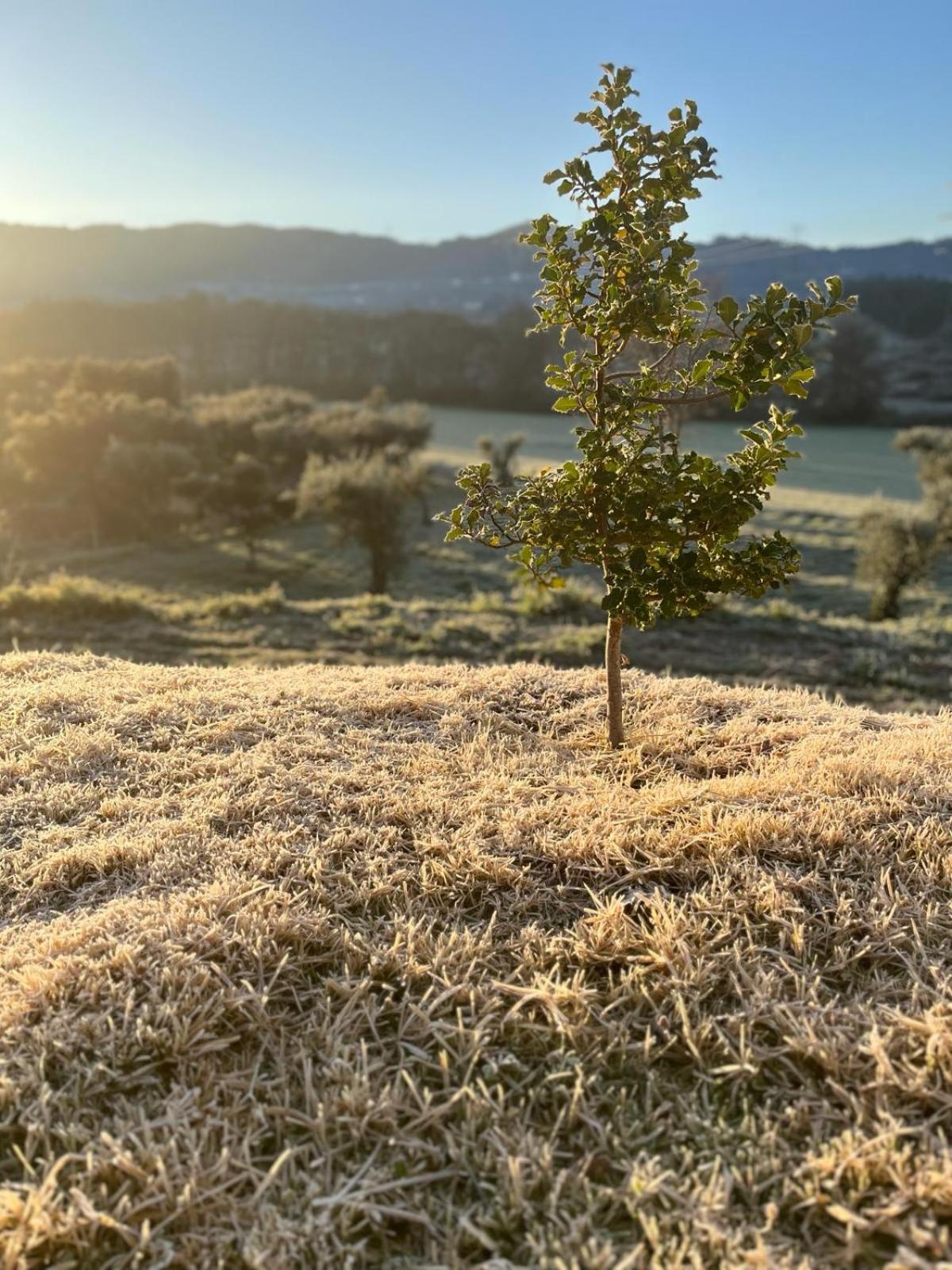 Quinta Dos Cedros L Turismo Rural Covilhã Dış mekan fotoğraf