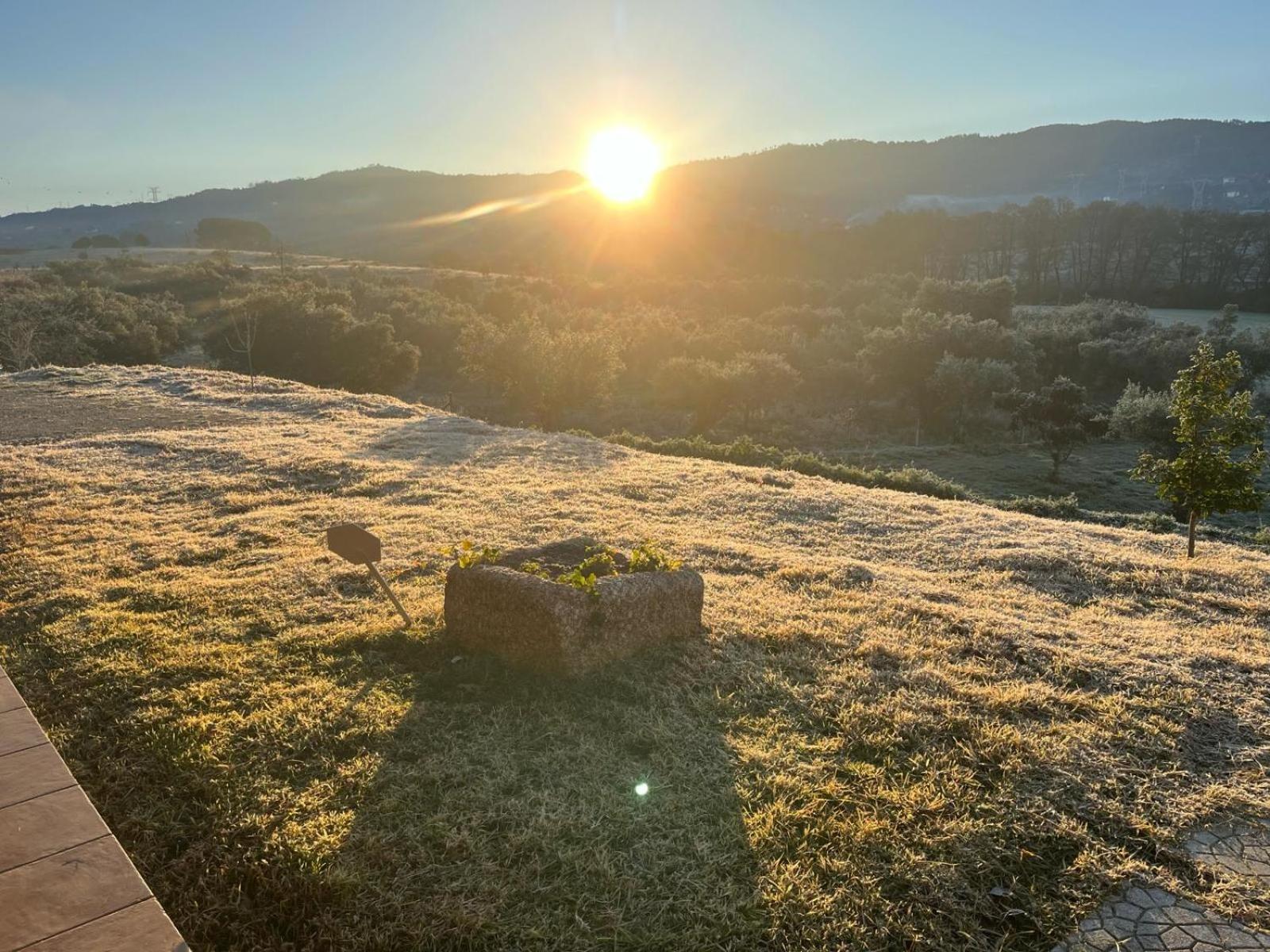 Quinta Dos Cedros L Turismo Rural Covilhã Dış mekan fotoğraf